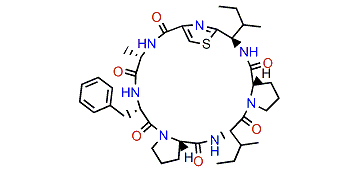 Sanguinamide A